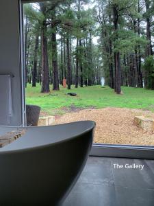 a window with a view of a forest at Bella Cosa in McLaren Vale