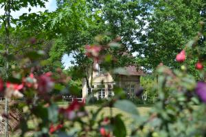 a house in the background with flowers in the foreground at Château St Justin in Saint-Justin