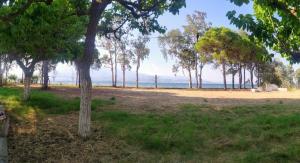 a beach with trees and the ocean in the background at Antirrio sea side house in Antirrio
