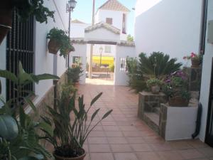 a courtyard of a house with potted plants at Hotel Enrique Calvillo in El Bosque