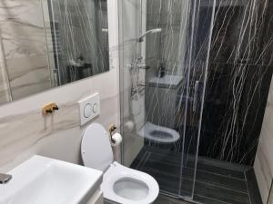 y baño con ducha, aseo y lavamanos. en Apartament w kamienicy en Poznan