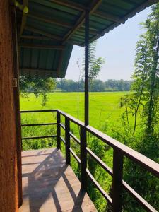 une terrasse couverte avec une clôture et un champ d'herbe dans l'établissement Sigiriya Paddy Field Hut, à Sigirîya