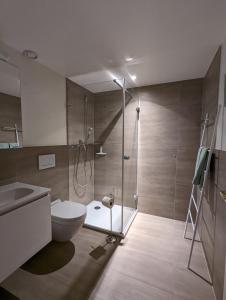 a bathroom with a shower and a toilet and a sink at Domaine de la Crausaz in Grandvaux