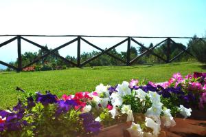 Vonkajšia záhrada v ubytovaní L'Infinito Agriturismo - Rooms & Breakfast