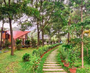 um jardim com degraus de pedra e árvores e uma casa em Moon Villa Soc Son - Venuestay em Hanói