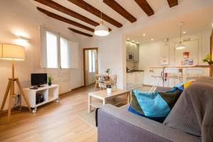 Televízia a/alebo spoločenská miestnosť v ubytovaní Ripoll Apartments