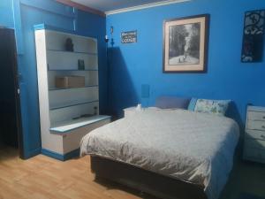 Dormitorio azul con cama y estante de libros en St Kilda East backpackers' hostel, en Melbourne