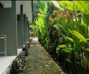 a stone pathway in a building with plants at Tiffany Garden in Mangsit