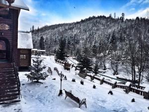 Galeriebild der Unterkunft Lisova Kazka in Schdenijewo