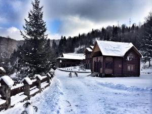 Galeriebild der Unterkunft Lisova Kazka in Schdenijewo