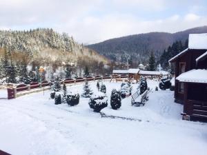 Galeriebild der Unterkunft Lisova Kazka in Schdenijewo