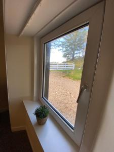 a window with a potted plant sitting on a window sill at Forsinard Lodge in Forsinard