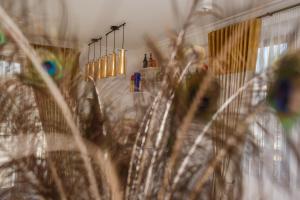 a room with some plants and lights in it at Pensiunea Carpe Diem Spa in Dumbrăviţa