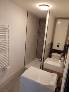 a small bathroom with a toilet and a sink at Résidence du Lavoir in Saint-Étienne-de-Saint-Geoirs