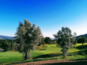 duas árvores num campo de golfe com um verde em Casa do Golfe by VinteOito em Amarante