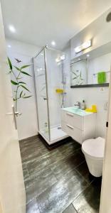 ein Bad mit einer Dusche, einem WC und einem Waschbecken in der Unterkunft Central Studio with Lake View | 102 in Montreux
