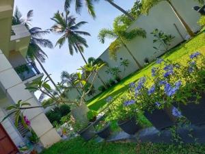 a view of a garden with plants and palm trees at Kurulu Villa Hikkaduwa in Gonapinuwala West
