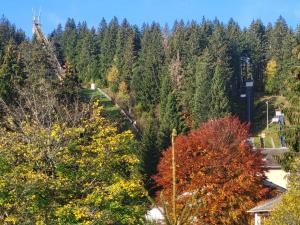 einen Herbstblick auf einen Wald mit Bäumen in der Unterkunft Ferienwohnungen Schönwald in Schönwald