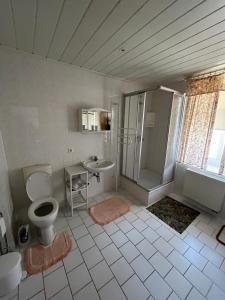 a bathroom with a toilet and a shower and a sink at Pension für Monteure in Leisnig in Leisnig