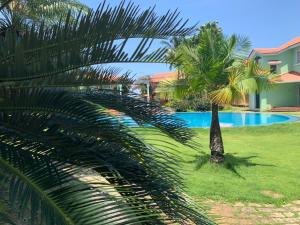 a palm tree in front of a swimming pool at Villa Marina By The Beach Goa in Benaulim