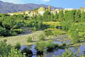 a river with trees and buildings in the background at Appartement coquet Le Boulou in Le Boulou