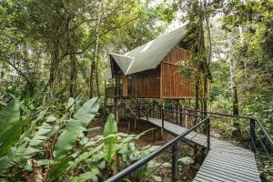 a tree house in the middle of the forest at La Manigua Lodge in La Macarena