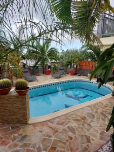 a swimming pool in a resort with plants at Nidamour, un logement fait pour vous in Saint-Paul