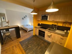 una cocina con fregadero y una cama en una habitación en Superbe T2 entre Paris et Disney (RER A), en Nogent-sur-Marne