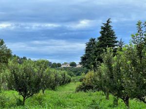 Paesaggio naturale nelle vicinanze della stanza in casa privata
