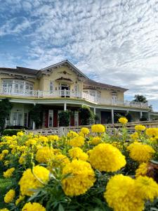 Giardino di Karan Mahal