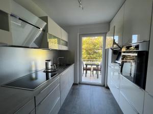 eine Küche mit einer Spüle und einem Herd Top-Backofen in der Unterkunft Deluxe Apartment Baden-Baden in Baden-Baden