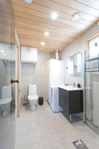 een badkamer met een toilet, een wastafel en een douche bij Korpi in Äkäslompolo