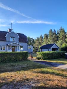 a house with a horse walking in front of it at Älghuset in Silverdalen