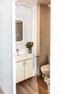 a bathroom with a sink and a toilet at Terres de France Brest in Brest