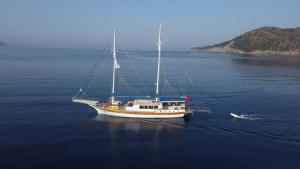 un voilier dans l'eau avec un petit bateau dans l'établissement Feronia teknesi, à Fethiye