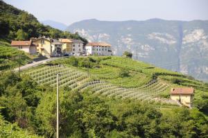 a village on the side of a hill with vineyards at Agriturismo Eredi di Cobelli Aldo in Lavis