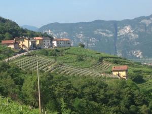 a vineyard on a hill with houses on it at Agriturismo Eredi di Cobelli Aldo in Lavis