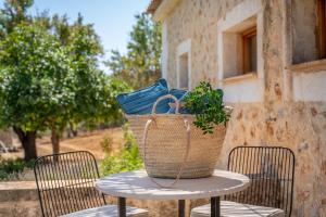 Zahrada ubytování Agroturismo Son Siurana