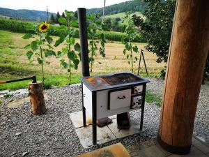 a stove sitting on a stone with a sunflower at Domek "PRZYBYSZÓWKA" Bieszczady in Mchawa