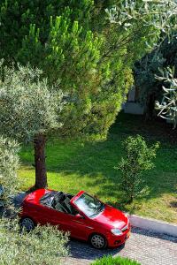 Gallery image of Thalero Holidays Center in Lygia +40 photos