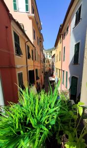 a view of an alley with buildings and plants at Il Balconcino sul carugio in Monterosso al Mare