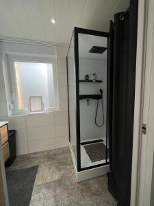 uma casa de banho com um chuveiro e um espelho. em Le Séjour qu'on M em Le Cateau