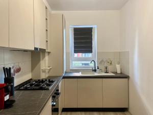 a kitchen with a sink and a stove and a window at Divany Apartament in Braşov