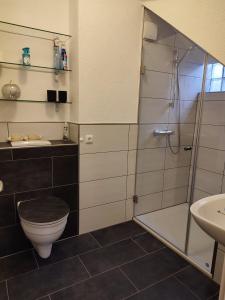 a bathroom with a shower and a toilet and a sink at Ferienwohnung Fuchs & Hase in Kronenburg
