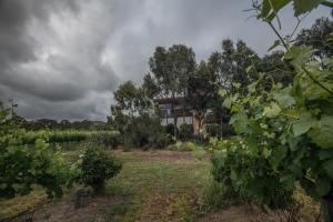 A garden outside Sellicks Chills Vineyard Retreats