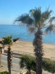 two palm trees on a beach near the ocean at Appartamento sul mare Scoglitti 2 in Scoglitti