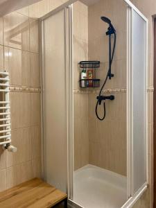 a shower in a bathroom with a tub at Dziki Szynk in Brenna