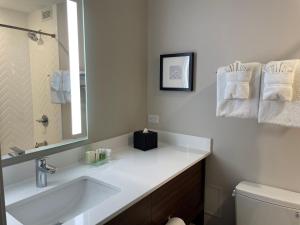 a bathroom with a sink and a mirror and a toilet at Holiday Inn Hotel & Suites Chicago - Downtown, an IHG Hotel in Chicago
