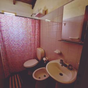 a bathroom with a sink and a toilet and a shower at Los Zarzos in Mina Clavero