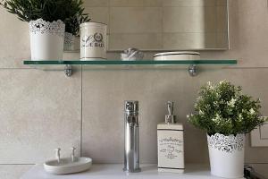 un bagno con lavandino e mensola con piante di Antica Dimora PT a Coldrerio Altre 25 foto